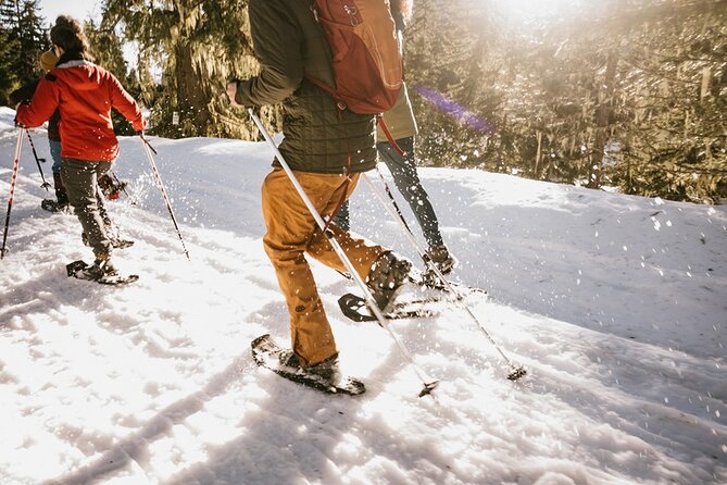 Full Day Leavenworth and Cascade Mountain Adventure Tour - Additional Tour Requirements