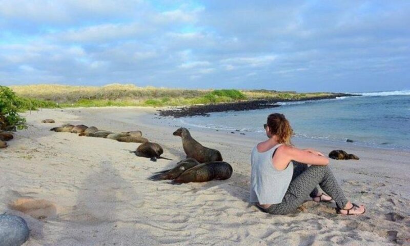 Full Day Leon Dormido and Lobos Island Tour - Pickup Locations
