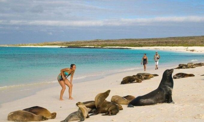Full Day Leon Dormido and Lobos Island Tour - Highlights