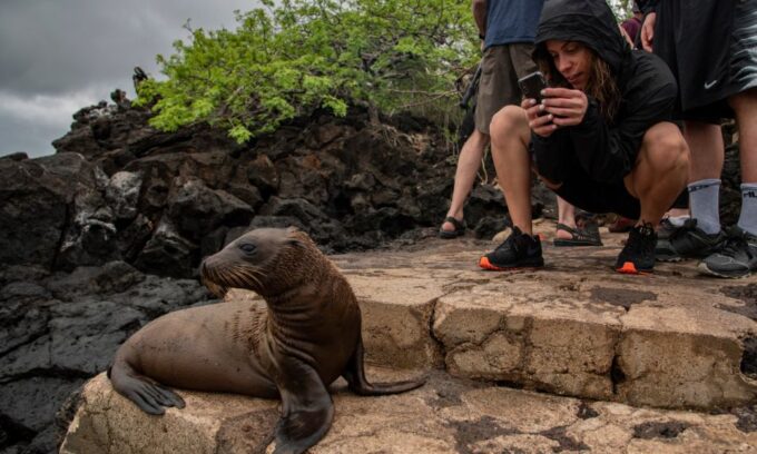 Full Day Leon Dormido and Lobos Island Tour - Inclusions