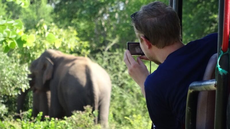 Full-Day Leopard Safari at Yala With Picnic Lunch - Booking and Cancellation Policy