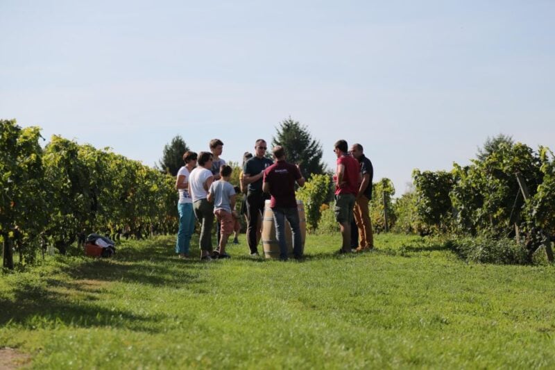 Full Day Loire Valley Wine Tour With Lunch: Vouvray & Chinon - Booking and Cancellation