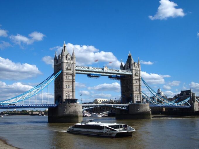 Full Day London Tour in a Private Vehicle With Admission - Accessibility