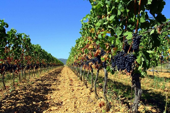 Full-Day Luberon Tour From Avignon - Market Visits and Itinerary