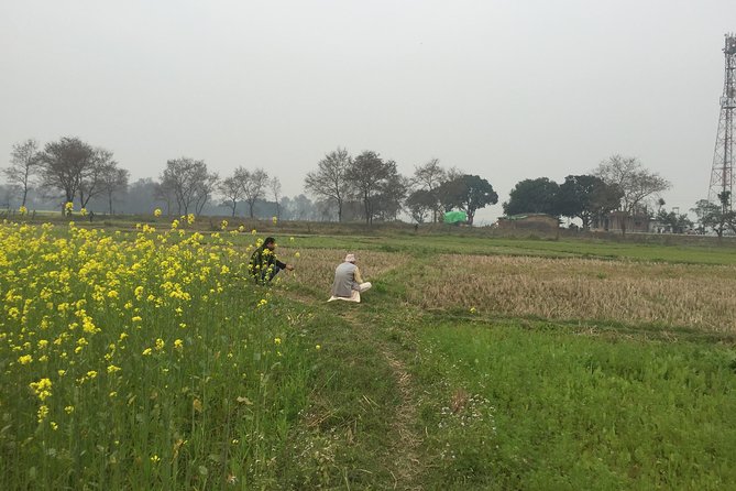 Full Day Lumbini Tour - Booking Information