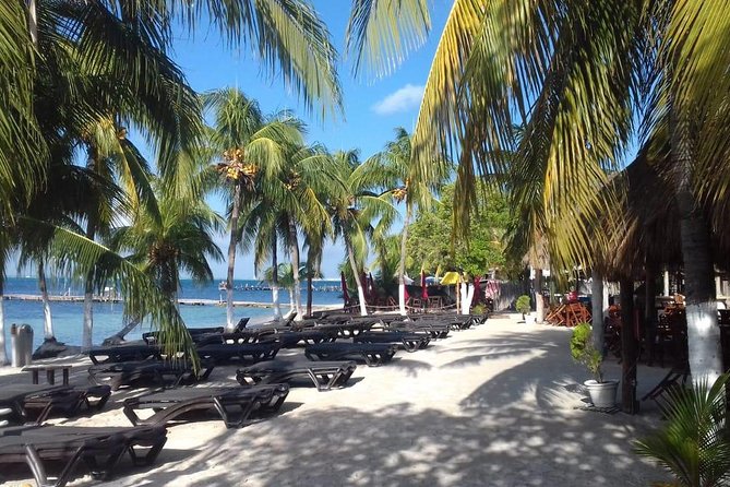 Full-Day Luxurious Catamaran Adventure - Cancún to Isla Mujeres - Accessibility and Age Requirement