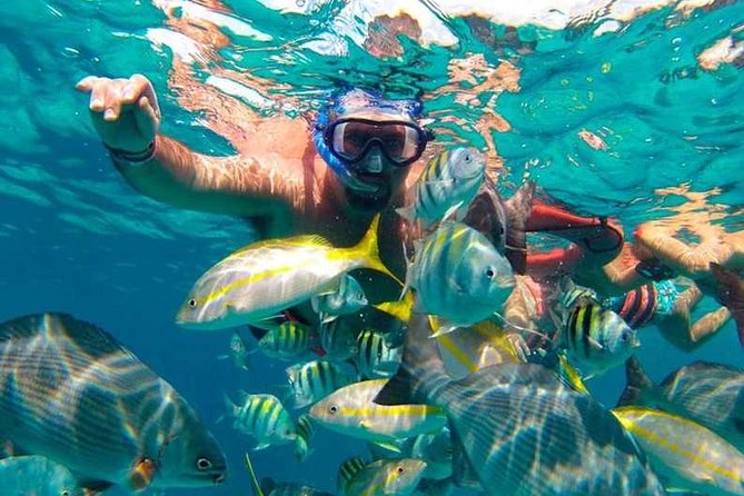 Full-Day Luxurious Catamaran Adventure - Cancún to Isla Mujeres - Additional Recommendations