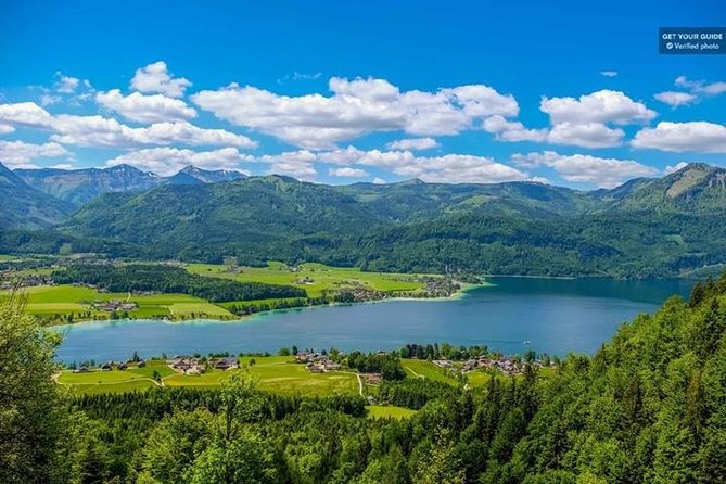 Full-Day Luxury Bus Tour From Munich - Reviews and Feedback