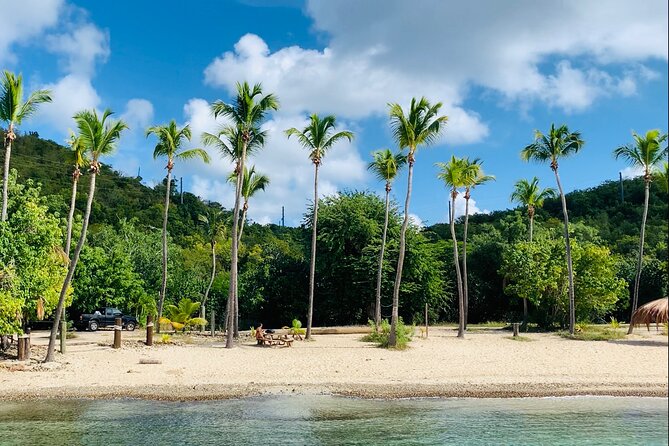 Full Day Luxury Catamaran Turtle Snorkel and Beach Getaway - Reviews and Ratings