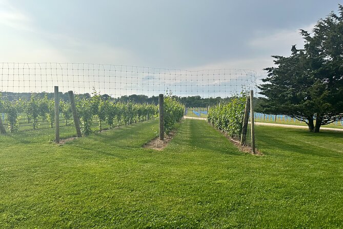 Full-Day Luxury Long Island Private Winery Tour - Inclusion Highlights