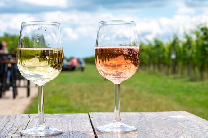 Full-Day Luxury Long Island Private Winery Tour - Additional Considerations