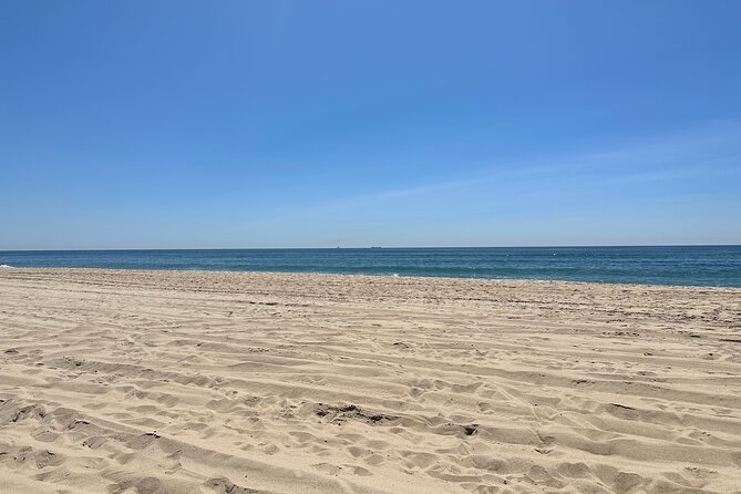 Full-Day Luxury Long Island Private Winery Tour - Luxury Transportation