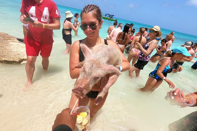 Full-Day Luxury Private Rose Island Pigs and Turtles Excursion - About Your Stay