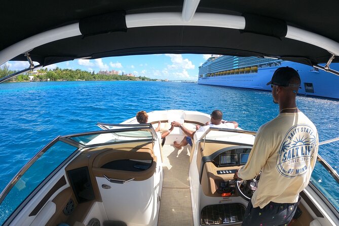 Full-Day Luxury Private Rose Island Pigs and Turtles Excursion - Snorkeling and Lunch