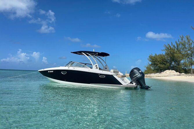 Full-Day Luxury Private Rose Island Pigs and Turtles Excursion - Preparing for the Adventure