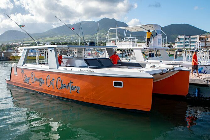 Full Day Luxury Snorkel Charter With Lunch (Minimum 10 Guests) - The Experience in Practice