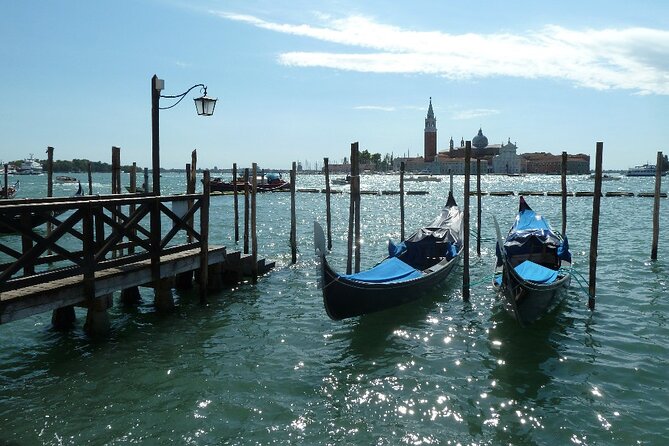 Full Day Luxury Trip to Venice With Private Car and Driver From Milan - Transportation and Logistics