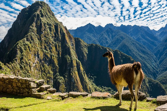 Full-Day Machu Picchu Tour From Cusco - Train Transportation Options