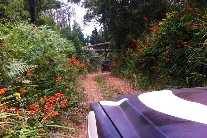 Full-Day Madeira North West Coast Safari From Funchal - Tour Overview