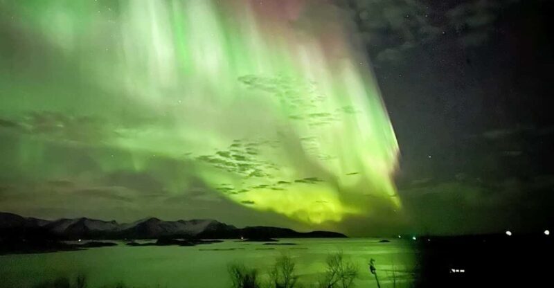 Full Day Magic of the Arctic Lights in Tromso - Experience Highlights