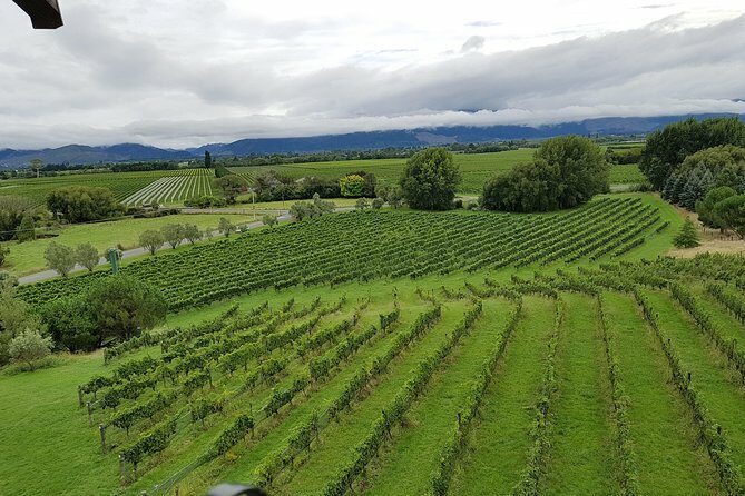 Full-Day Marlborough Catamaran Cruise with Wine Tour and Lunch - The Sum Up: Who Will Love This Tour?