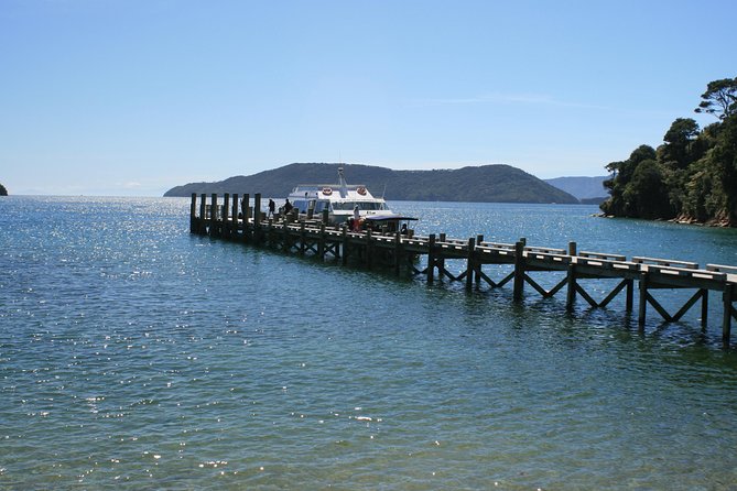 Full-Day Marlborough Catamaran Cruise With Wine Tour and Lunch - Inclusions and Logistics