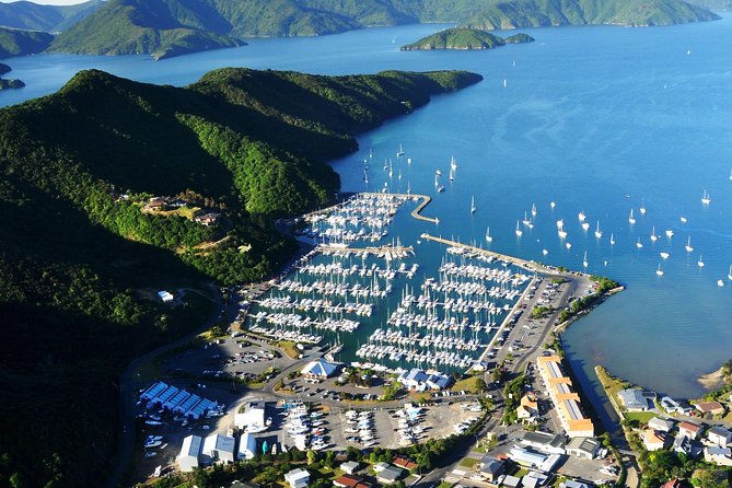 Full-Day Marlborough Scenic and Wine Tour From Blenheim - Scenic Views Along Queen Charlotte Drive