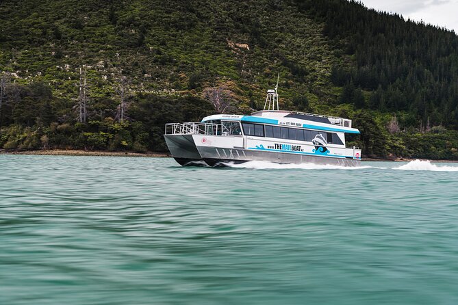 Full Day Marlborough Sounds Mail Boat Cruise - Activities and Highlights