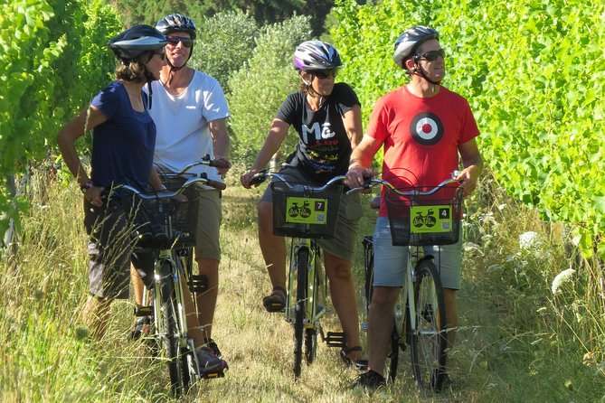 Full-Day Marlborough Wine Region Bike Hire - Pickup and Meeting Details