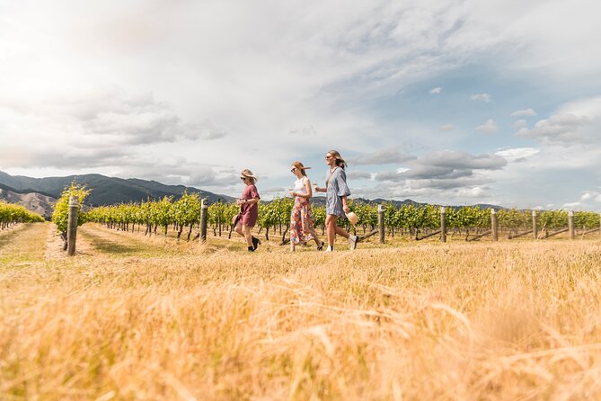 Full-Day Marlborough Wine Tour From Blenheim - Tour Details