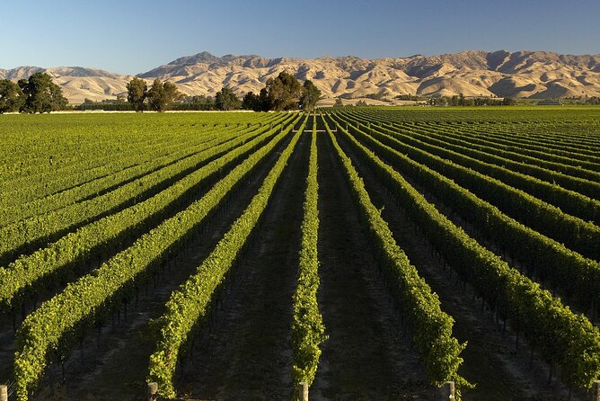 Full-Day Marlborough Wine Tour From Blenheim - Winery Visits and Tastings