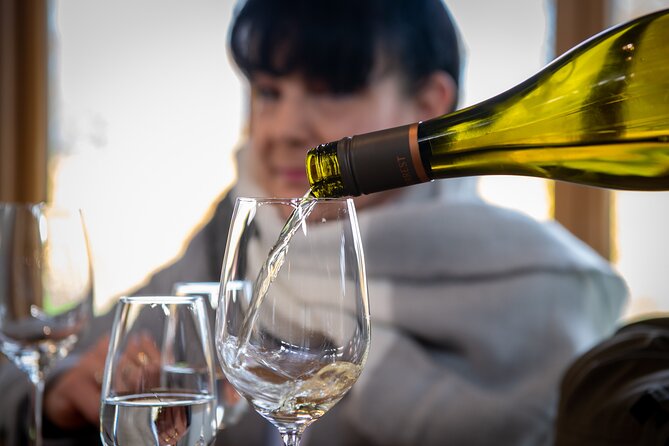 Full-Day Marlborough Wine Tour Including Wine Tasting - Tour Highlights