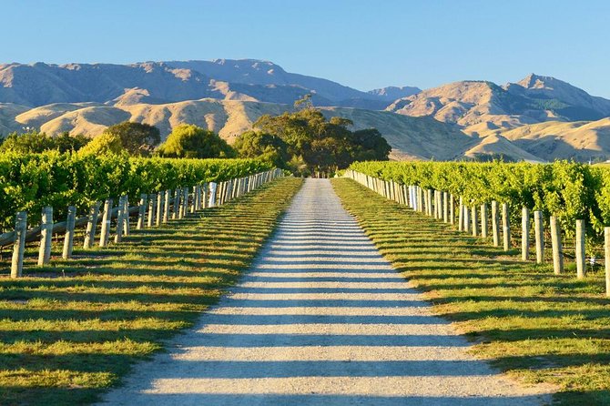 Full-Day Marlborough Wine Tour Including Wine Tasting - Booking and Cancellation Policy
