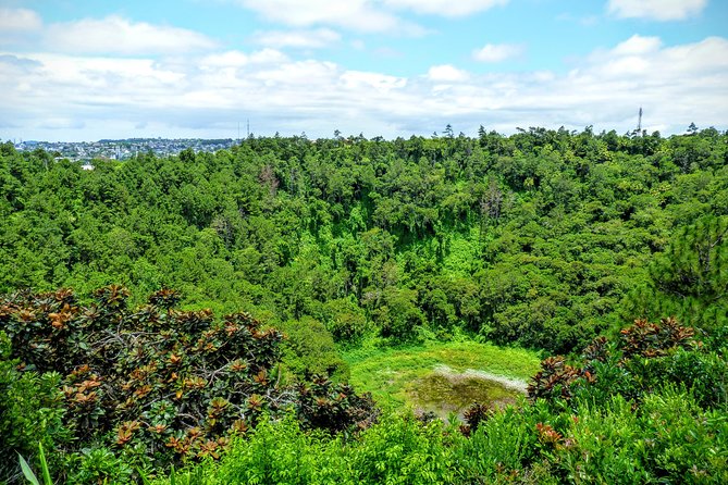 Full-Day Mauritius Volcanic Wonders Tour Including Swimming With Wild Dolphins - Pickup and Start Time