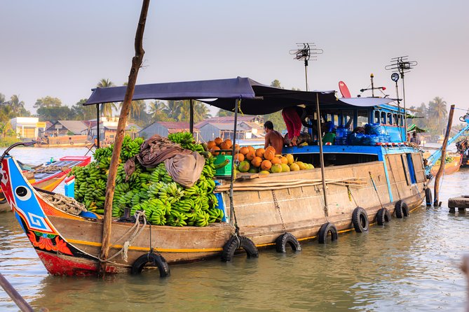 Full-Day Mekong Delta Tour: Local Village, Rowing Boat and Fruits - Exploring the Mekong Delta