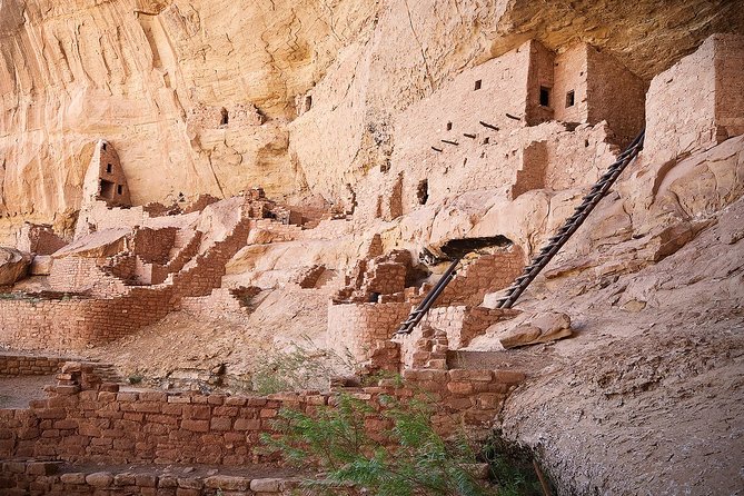 Full-Day Mesa Verde Discovery Tour - Meeting and Pickup