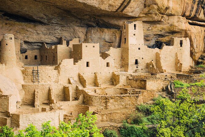 Full-Day Mesa Verde Discovery Tour - Highlights