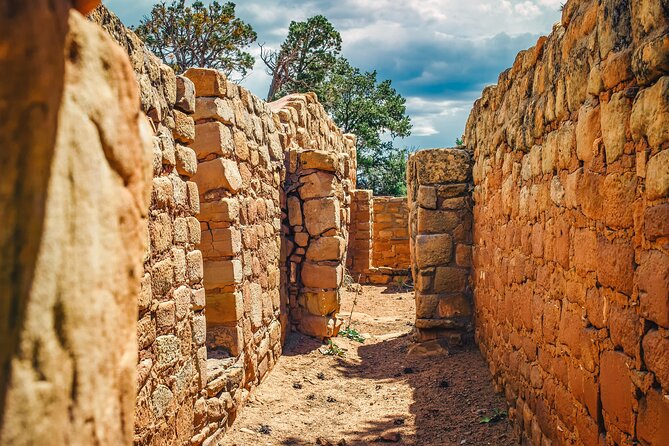 Full-Day Mesa Verde Discovery Tour - Ancestral Puebloan History