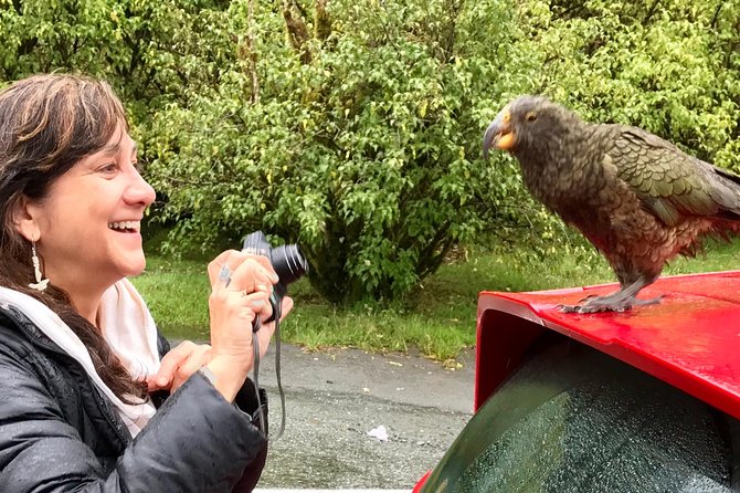 Full-Day Milford Sound Extraordinaire Tour From Te Anau - Highlights and Inclusions