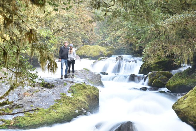 Full-Day Milford Sound Extraordinaire Tour From Te Anau - Wildlife Sightings