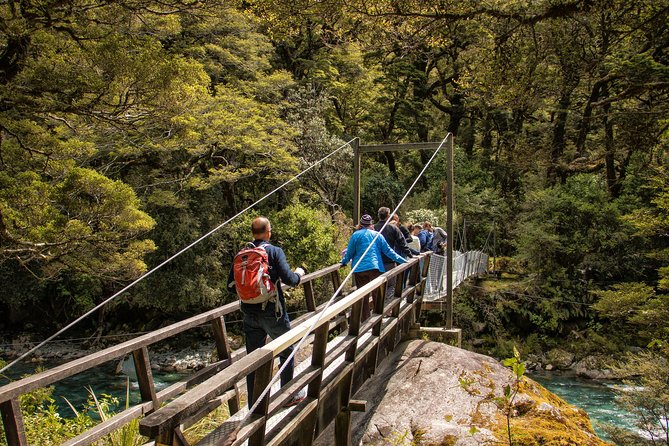 Full-Day Milford Sound Tour With Cruise and Walks From Te Anau - Customer Reviews and Feedback