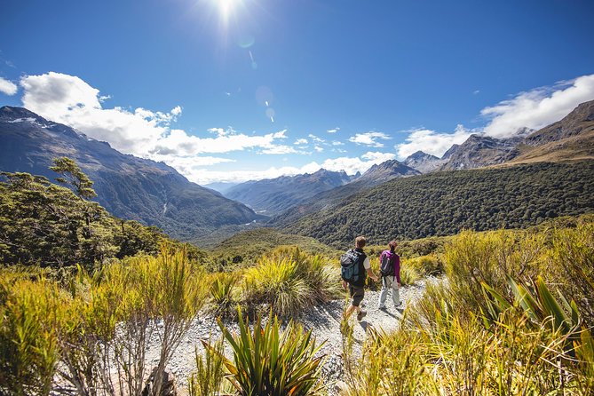 Full-Day Milford Sound Tour With Cruise and Walks From Te Anau - Boat Cruise Through the Fjord