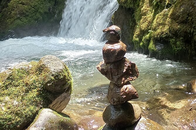 Full Day Mindo Cloud Forest From Quito (Private Tour-Customized) - Local Cuisine and Dining