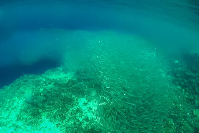 Full-Day Moalboal Islands and Kawasan Falls Small-Group Tour From Cebu - Explore Tañon Strait