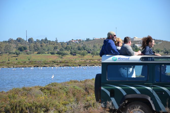 Full Day Moorish Trail Tour - Organic Farm Exploration