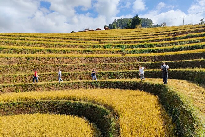 Full Day Motorbike Mu Cang Chai - Included Amenities and Accessibility