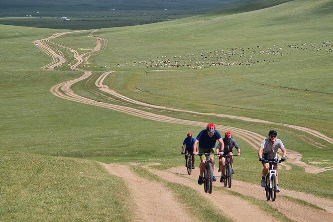 Full Day Mountain Biking Tour in Khan Khenty National Park - Fitness and Health Considerations