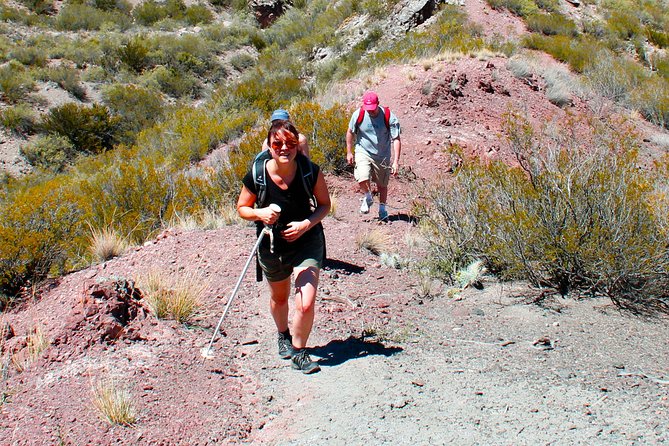 Full Day Mountain Trekking With Lunch - Inclusion Details