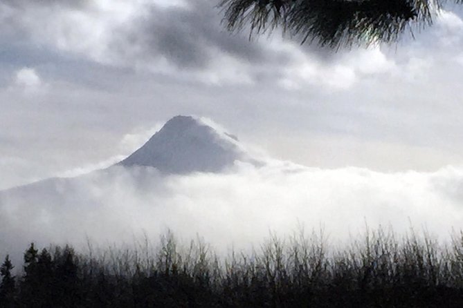 Full-Day Mt Hood Waterfall Tour With Lunch and Wine Included - Included Amenities