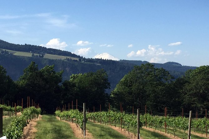 Full-Day Mt Hood Waterfall Tour With Lunch and Wine Included - Iconic Timberline Lodge